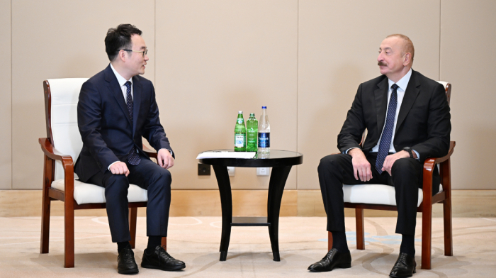 President Ilham Aliyev meets Powerchina Group executive in Tianjin