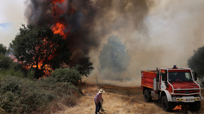 Wildfires are fuelling air pollution, UN weather body says