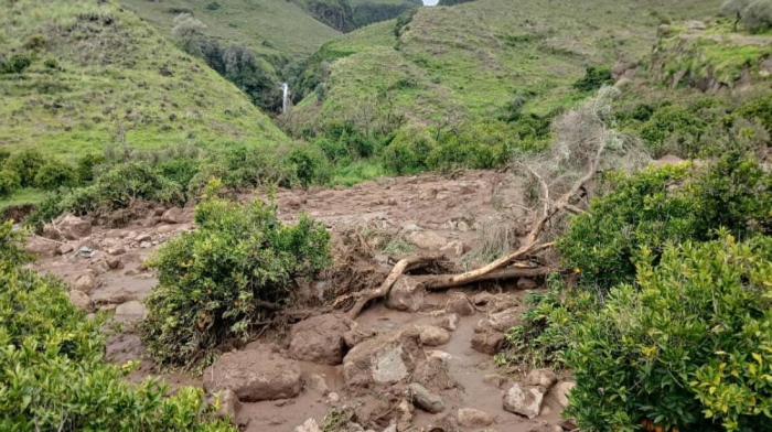 Sudan landslide kills hundreds, including 200 children