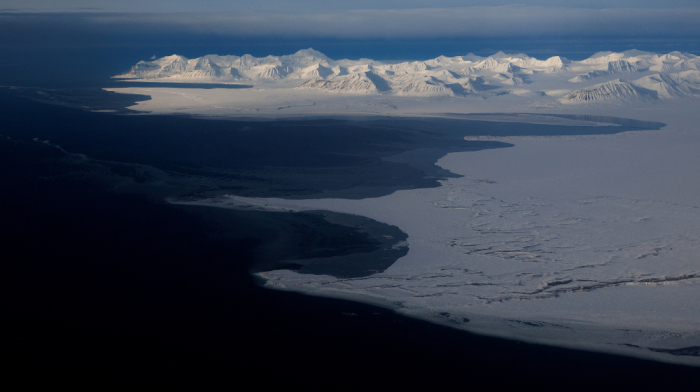 Invasive barnacle DNA found in Canadian Arctic, scientists warn of warming threat