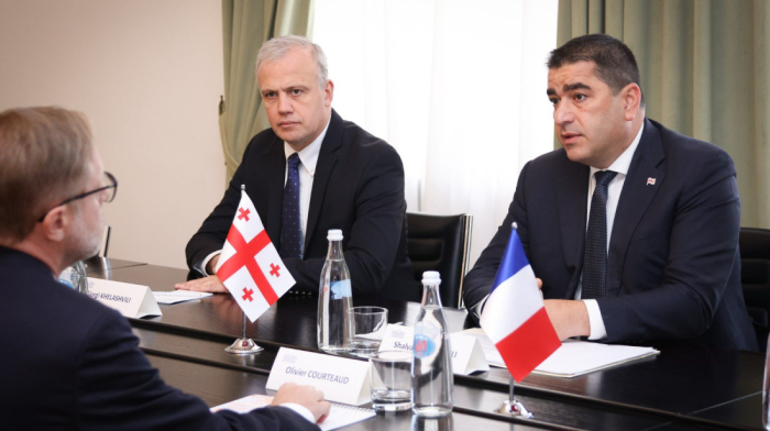 One Day, Two Messages: Georgia’s Speaker Criticises EU, Praises France