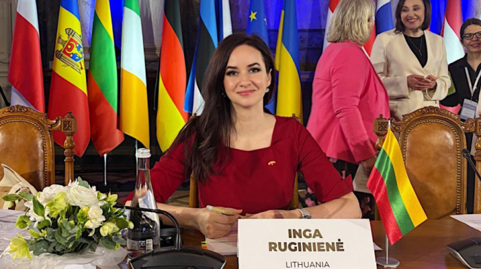Lithuania's new government takes office after parliament vote