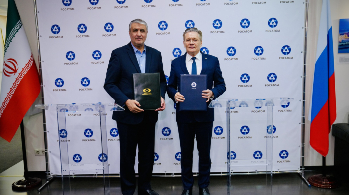 Iran to buy Russian small-size reactors to launch major power plant