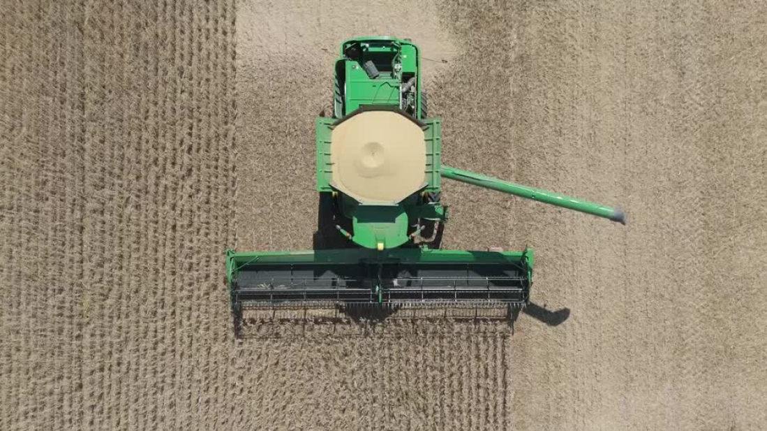 U.S. soybean farmers face losses as China turns to Argentina amid tariffs