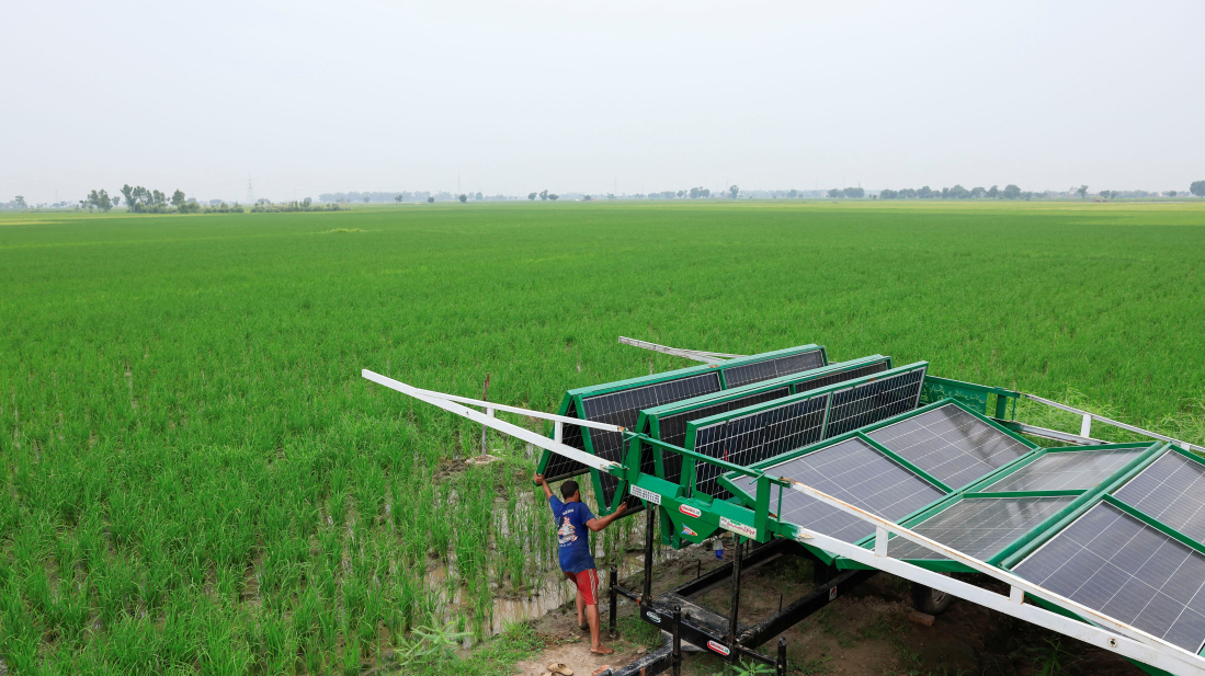 Solar-powered farming is digging Pakistan into a water catastrophe