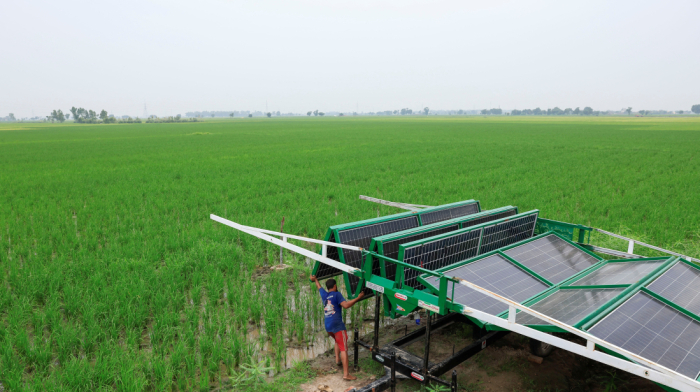 Solar-powered farming is digging Pakistan into a water catastrophe