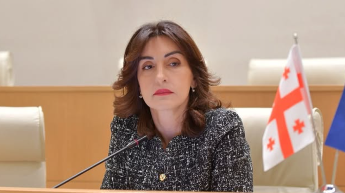 Georgia’s Foreign Minister says ‘No danger’ to its citizens as EU tightens visa-free rules