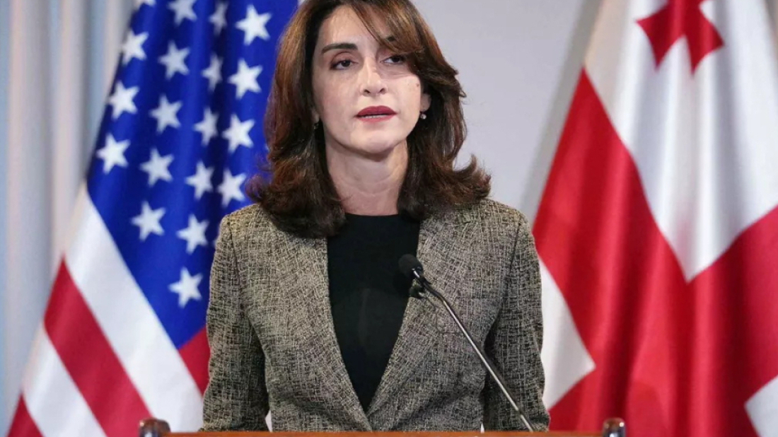 Foreign minister criticises ‘MEGOBARI Act’ as against georgian interests