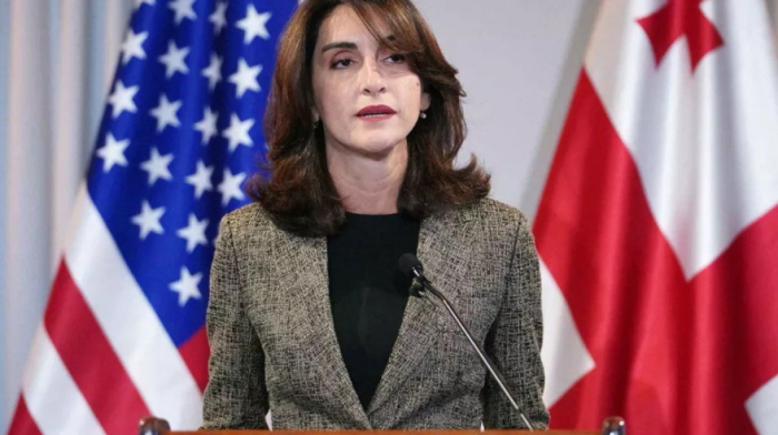 Foreign minister criticises ‘MEGOBARI Act’ as against georgian interests