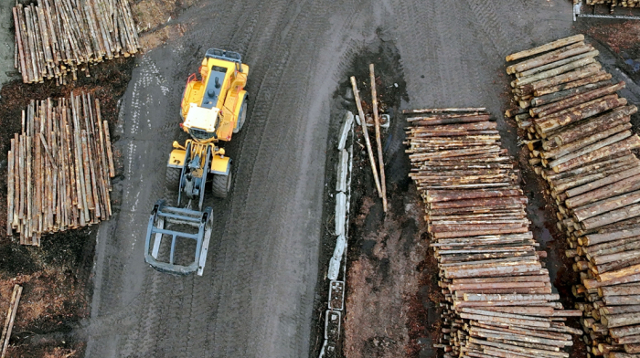 Trump’s tariff shock: Canada’s lumber faces harsher penalties than Moscow’s