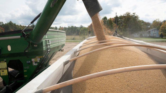 Trump accuses China of avoiding U.S. soybeans, warns of trade retaliation