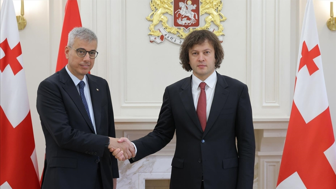 Türkiye, Georgia sign health care pact