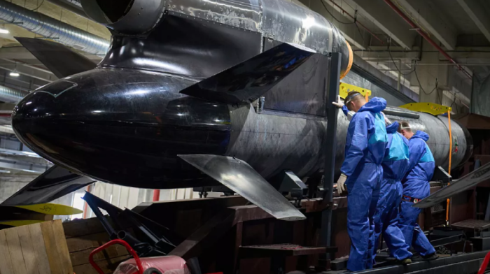 Czech campaign raises €500,000 in 48 hours to buy Flamingo missile for Ukraine