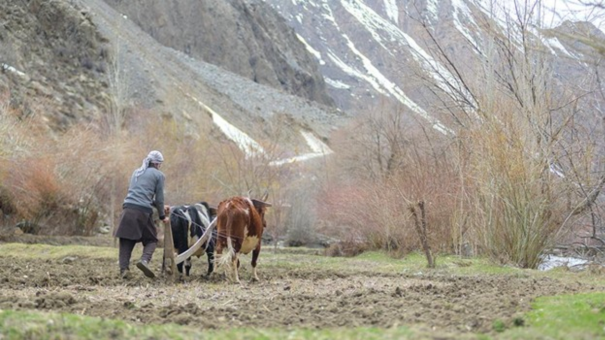 Climate resilience initiatives across Central Asia, South Caucasus and Pakistan to get $250m boost