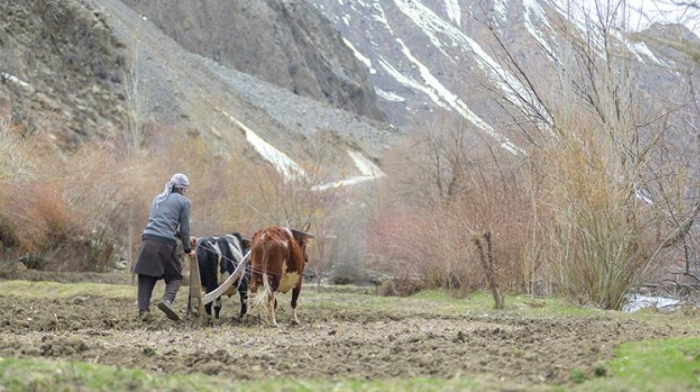 Climate resilience initiatives across Central Asia, South Caucasus and Pakistan to get $250m boost