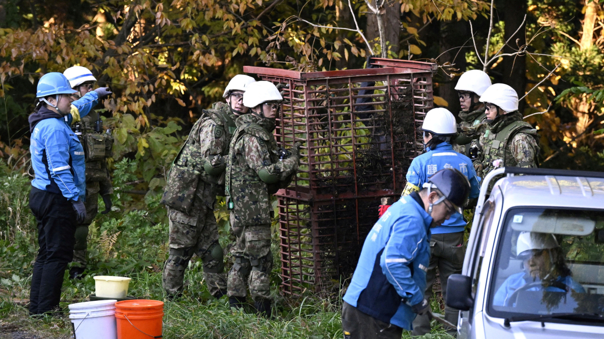 Japan deploys troops to combat deadly wave of bear attacks