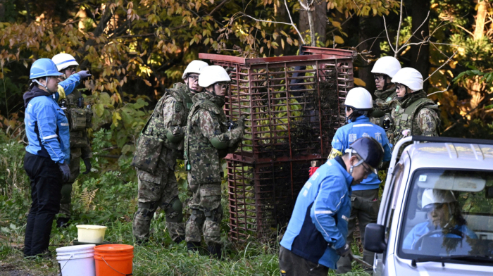 Japan deploys troops to combat deadly wave of bear attacks
