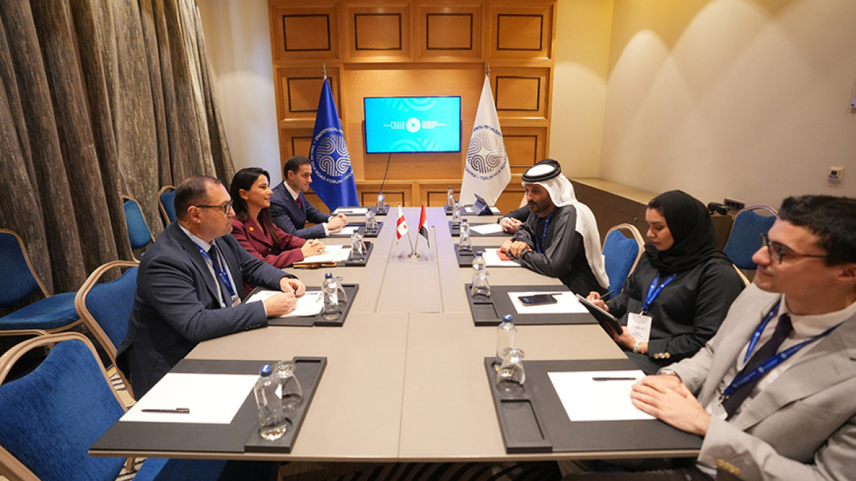 Eagle Hills deal sparks debate in Georgia: $6bn promise or pricey gamble?