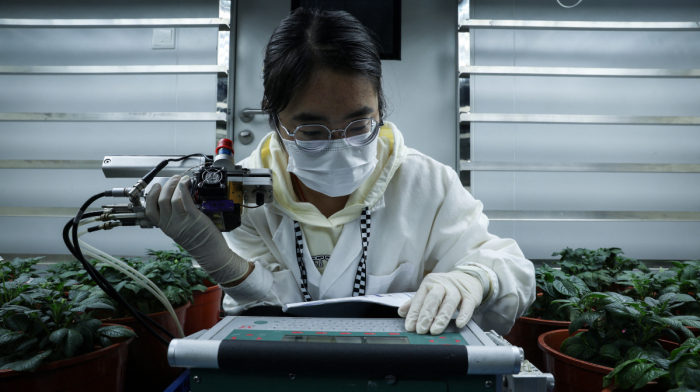 China’s Carbon emissions plateau as clean energy surges, drawing focus at COP30