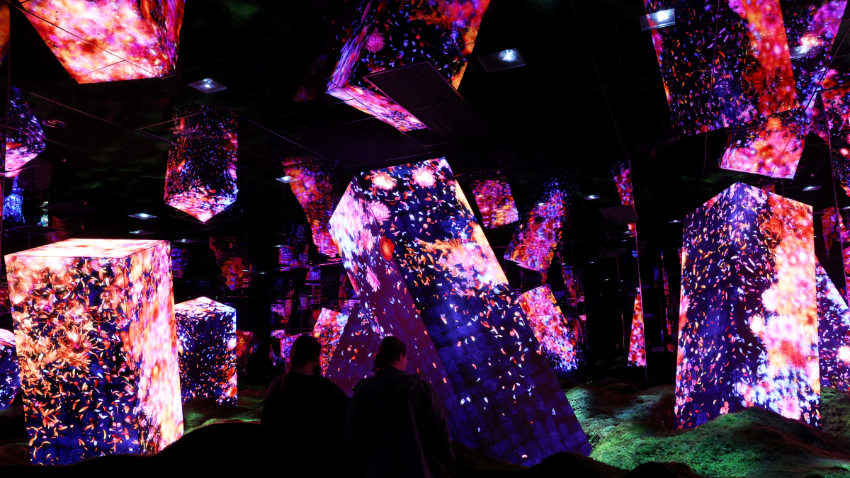 Biovortex in Kyoto: teamLab’s Groundbreaking Immersive Art Experience