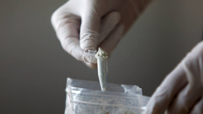 China to tighten controls on fentanyl precursors in deal with U.S.