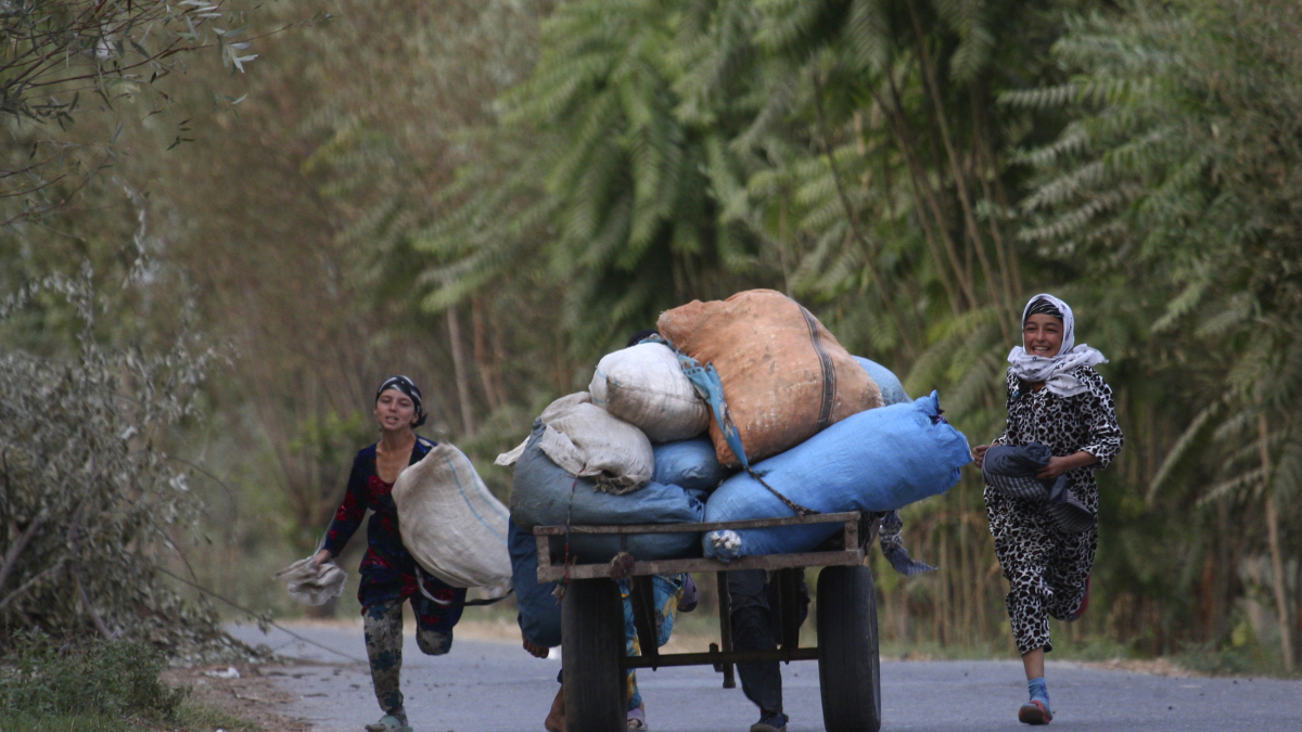 Climate change: Tajikistan’s agricultural output suffers 50% decline