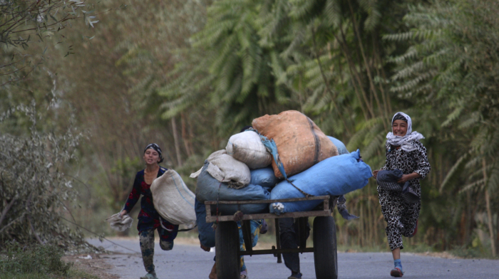 Climate change: Tajikistan’s agricultural output suffers 50% decline