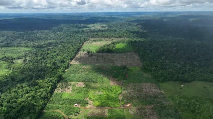 The Amazon’s future hangs on the fate of its shrinking basin