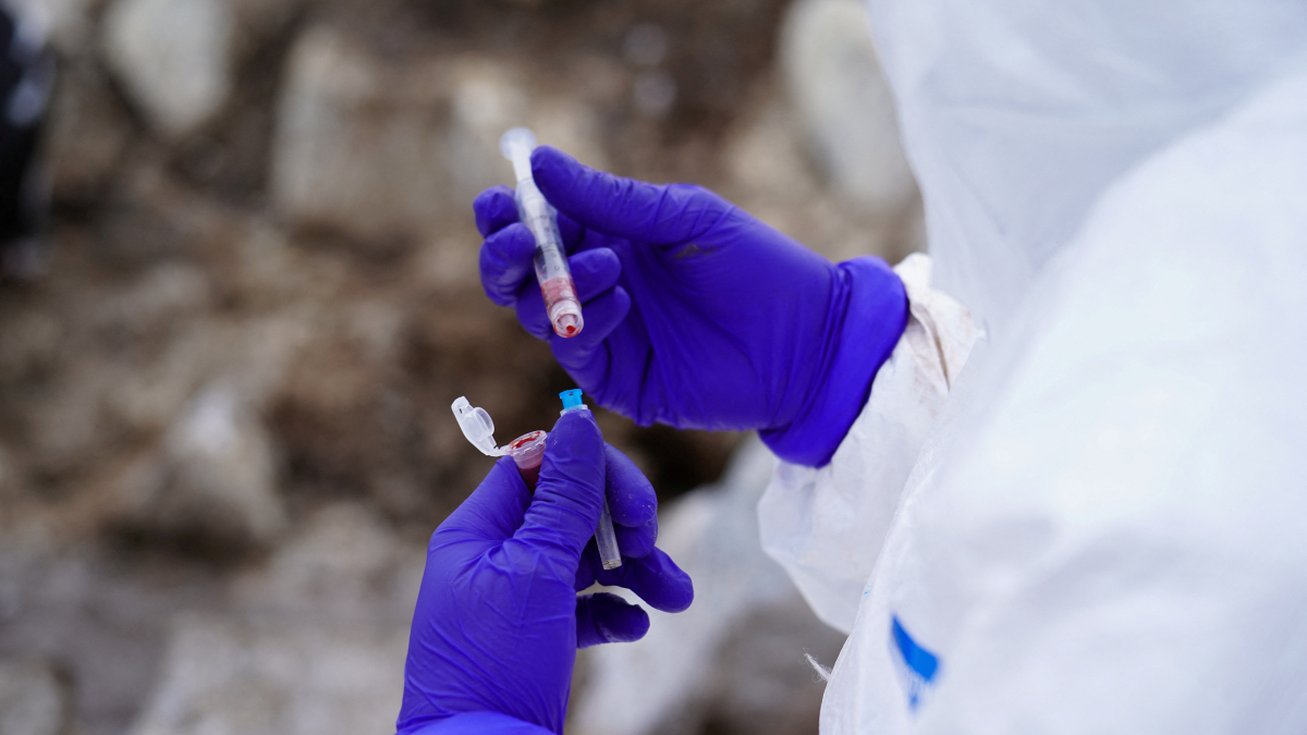 Belgium reports rising avian influenza cases