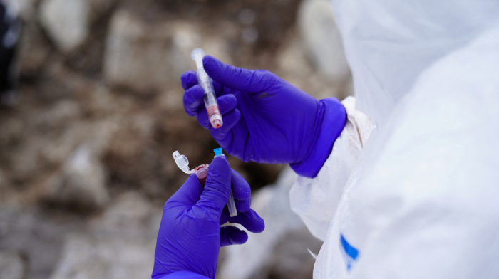 Belgium reports rising avian influenza cases
