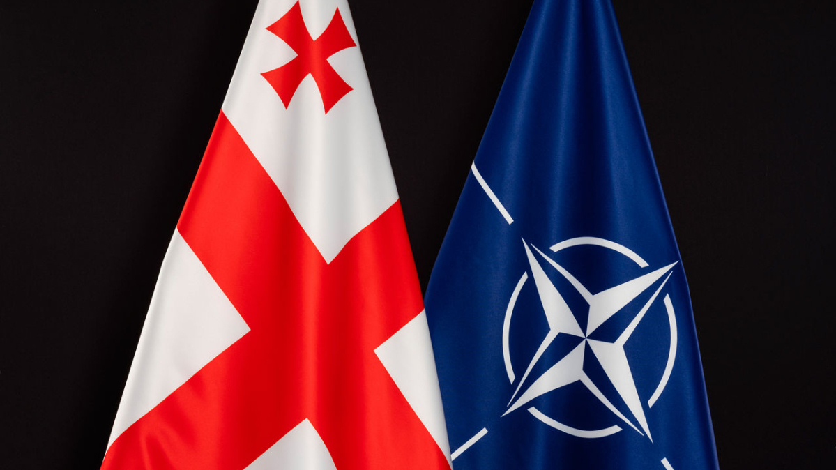 Georgia's Papusashvili responds to Mark Rutte, accuses NATO of 'indecision'