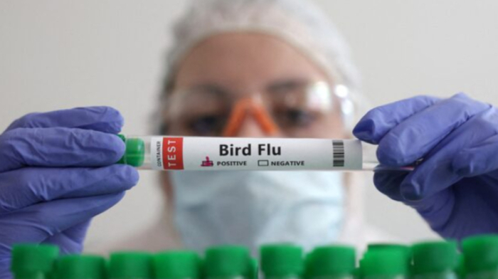 Bird flu virus could trigger pandemic worse than Covid, French expert says