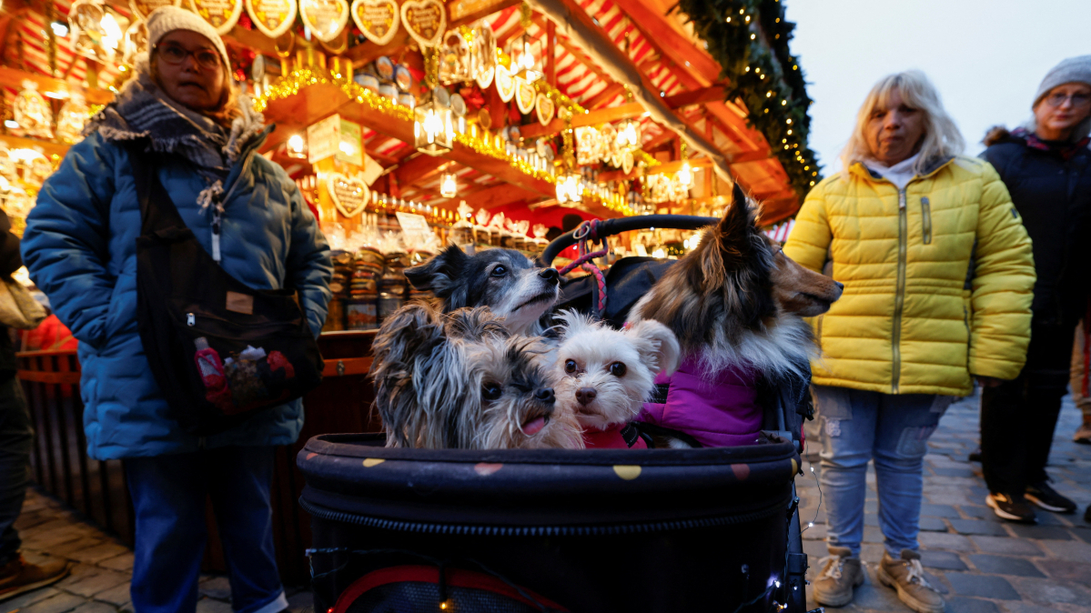Traditional Nuremberg christmas market opens with ceremony and carols