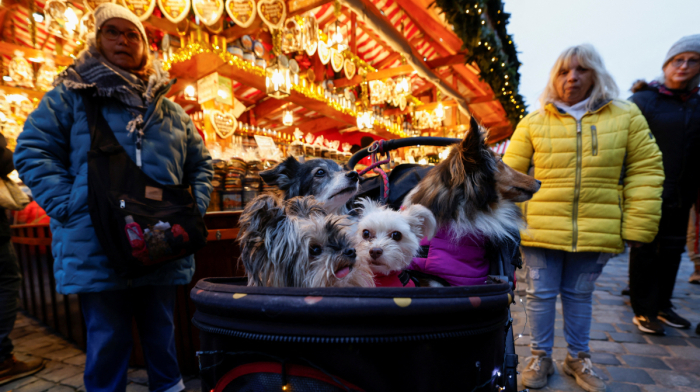 Traditional Nuremberg christmas market opens with ceremony and carols