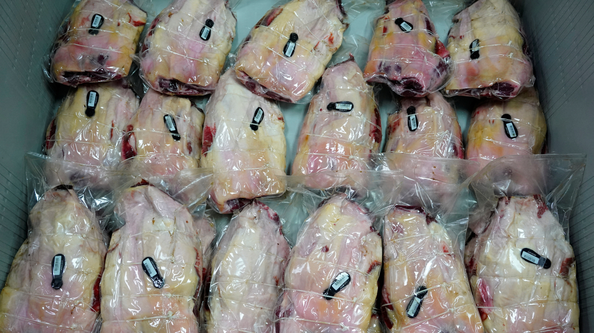 Swine fever: Eight new suspected cases hit Spain’s pork exports