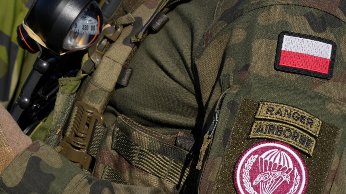 Polish army joins forces with national power grid to protect critical infrastructure