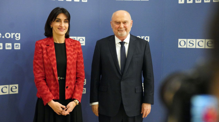 Georgia's Bochorishvili highlights security concerns at OSCE Ministerial Council meeting