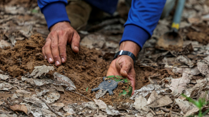 Azerbaijan says landmine contamination delays return of hundreds of thousands of IDPs