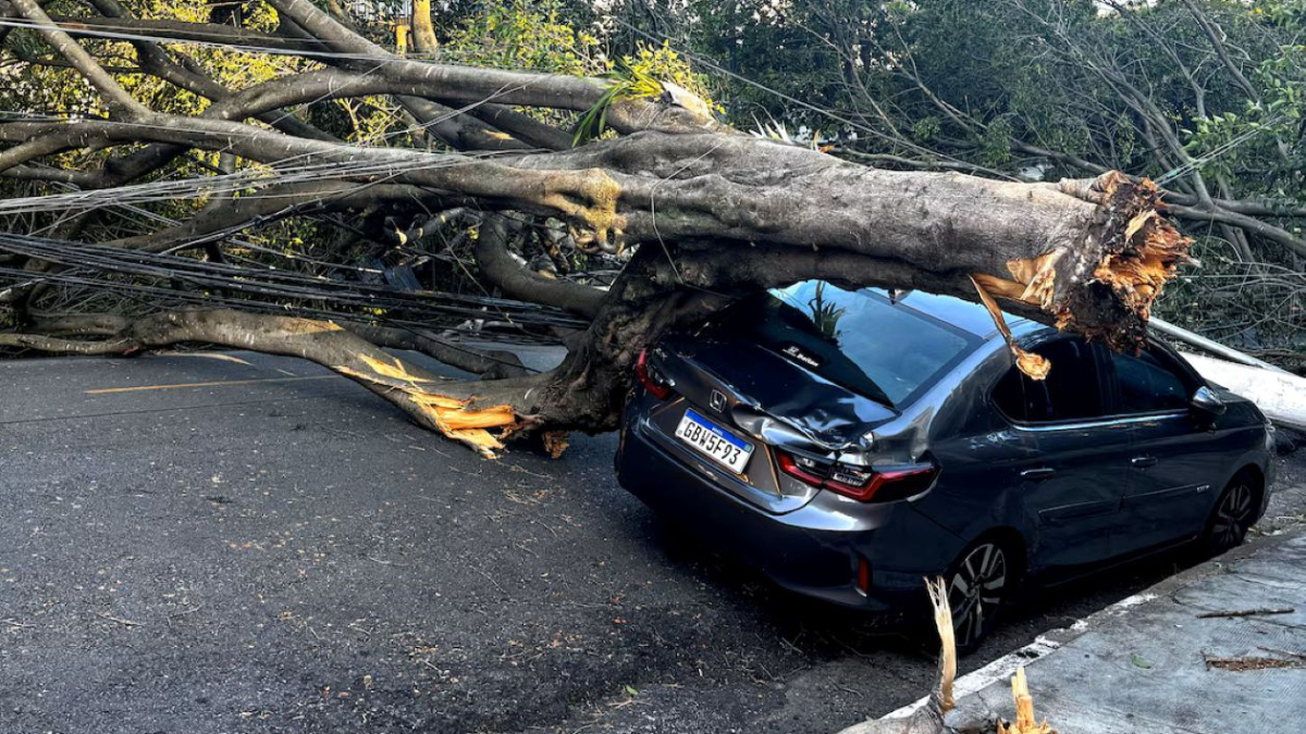 Strong winds leave millions in Brazil's Sao Paulo without power, cutting water and flights