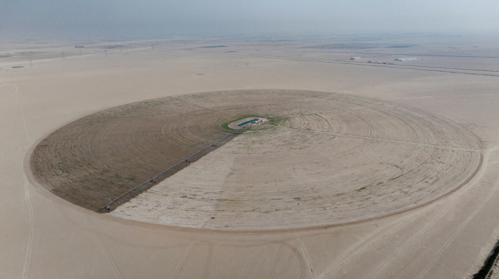 Iraq wheat farms turn to wells as rivers hit historic lows