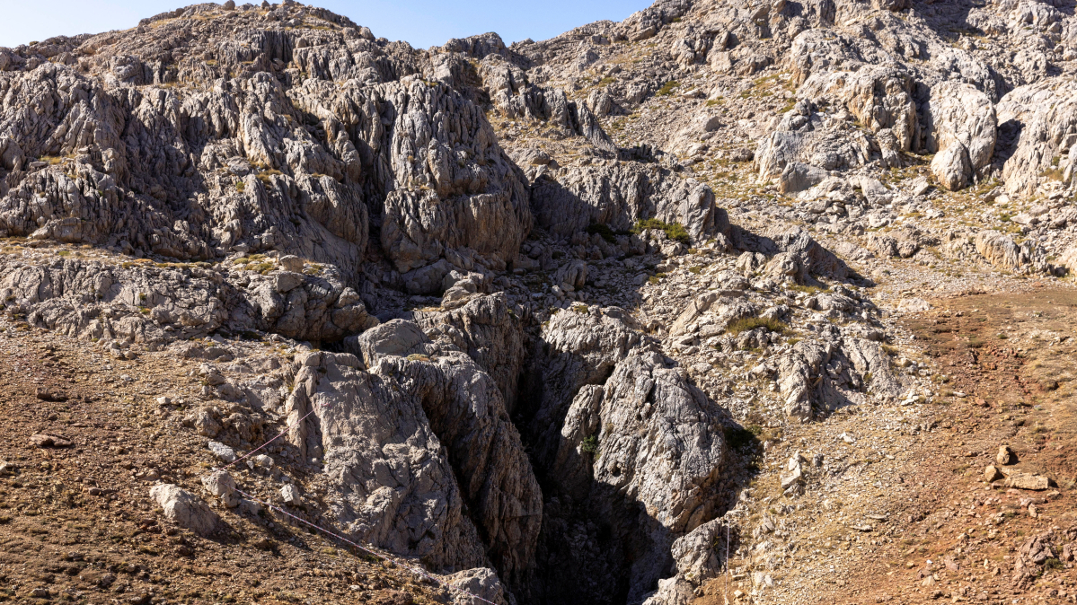 Türkiye secures protection for over 10,500 monumental trees and 319 caves