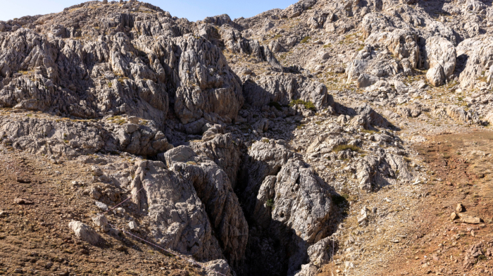 Türkiye secures protection for over 10,500 monumental trees and 319 caves