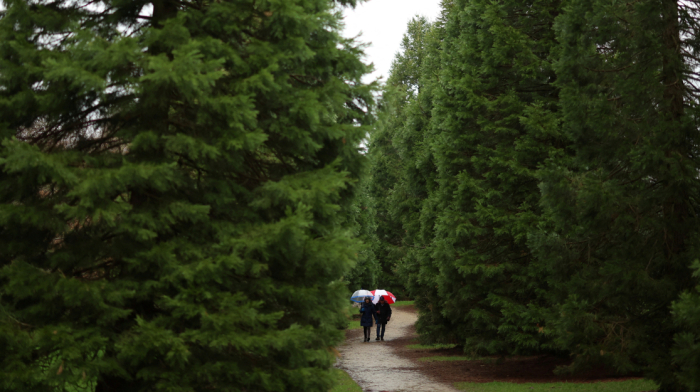 Türkiye launches Zero Waste Encyclopaedia ahead of COP31