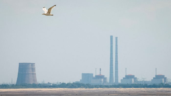 Zaporizhzhia nuclear plant looms over Ukraine talks