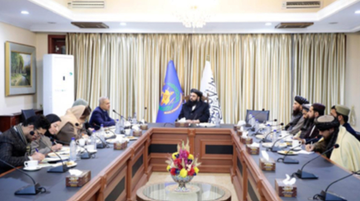 ‘UN spent $2.5bn on Afghan refugee needs this year,’ UNAMA says