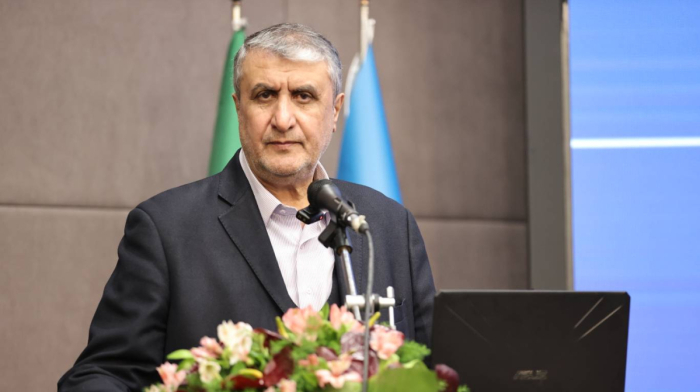 Iran’s N-program target of U.S.-Israel sabotage for 30 years: Official