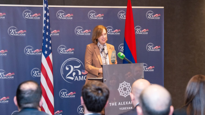 Armenian PM Nikol Pashinyan meets outgoing U.S. envoy, hails ‘strategic’ relations