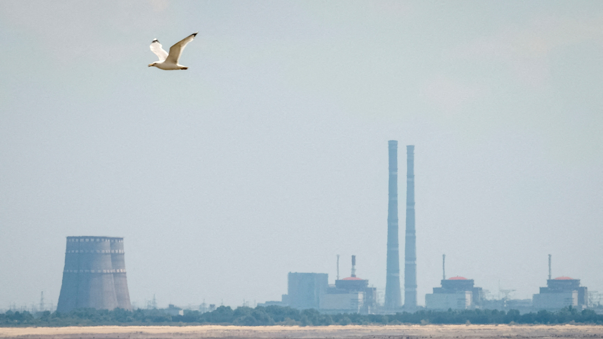 IAEA brokers temporary ceasefire for Zaporizhzhia plant power repairs