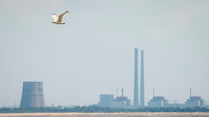 IAEA brokers temporary ceasefire for Zaporizhzhia plant power repairs
