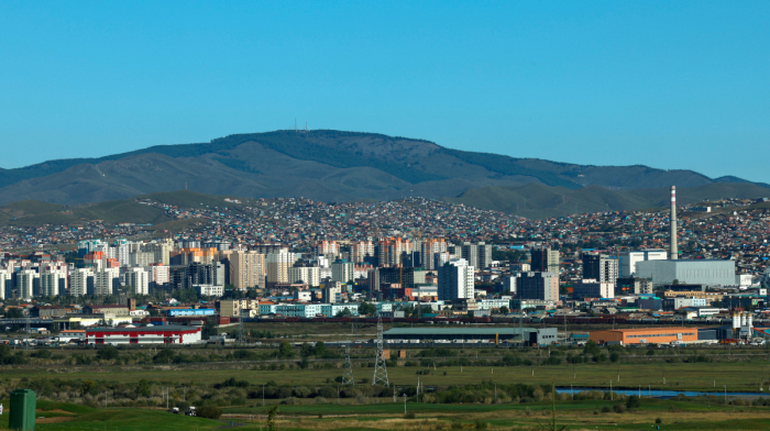 Mongolia sets plan to advance traditional medicine